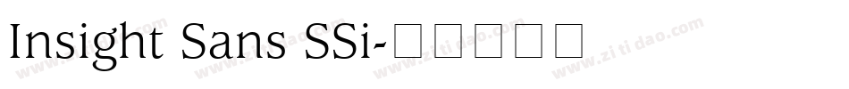 Insight Sans SSi字体转换